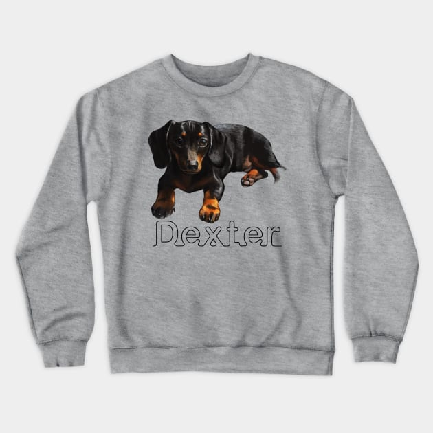 Dexter Boy Crewneck Sweatshirt by Lefrog